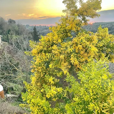 Ghigo La Di Torquato